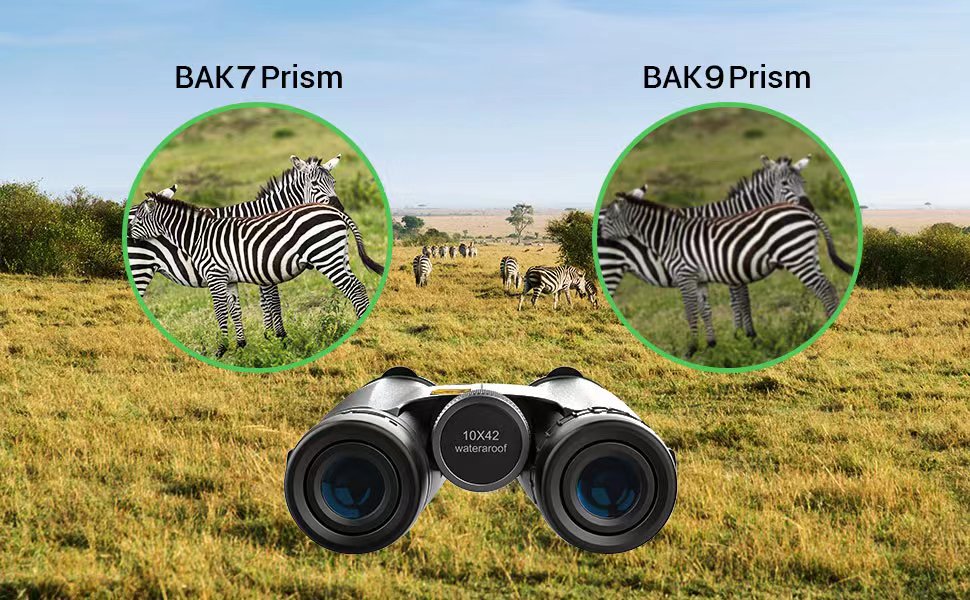 What Do Binoculars Numbers Mean: A Simple Guide for Beginners