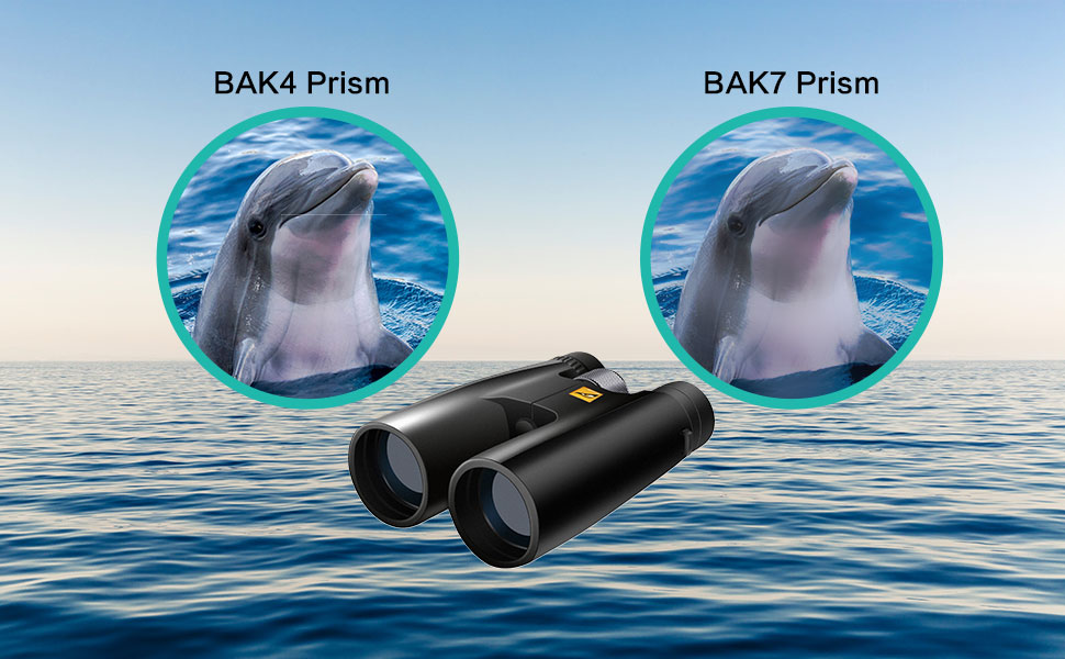 BAK4 vs BAK7 Prisms in Binoculars, Monoculars, and Telescopes