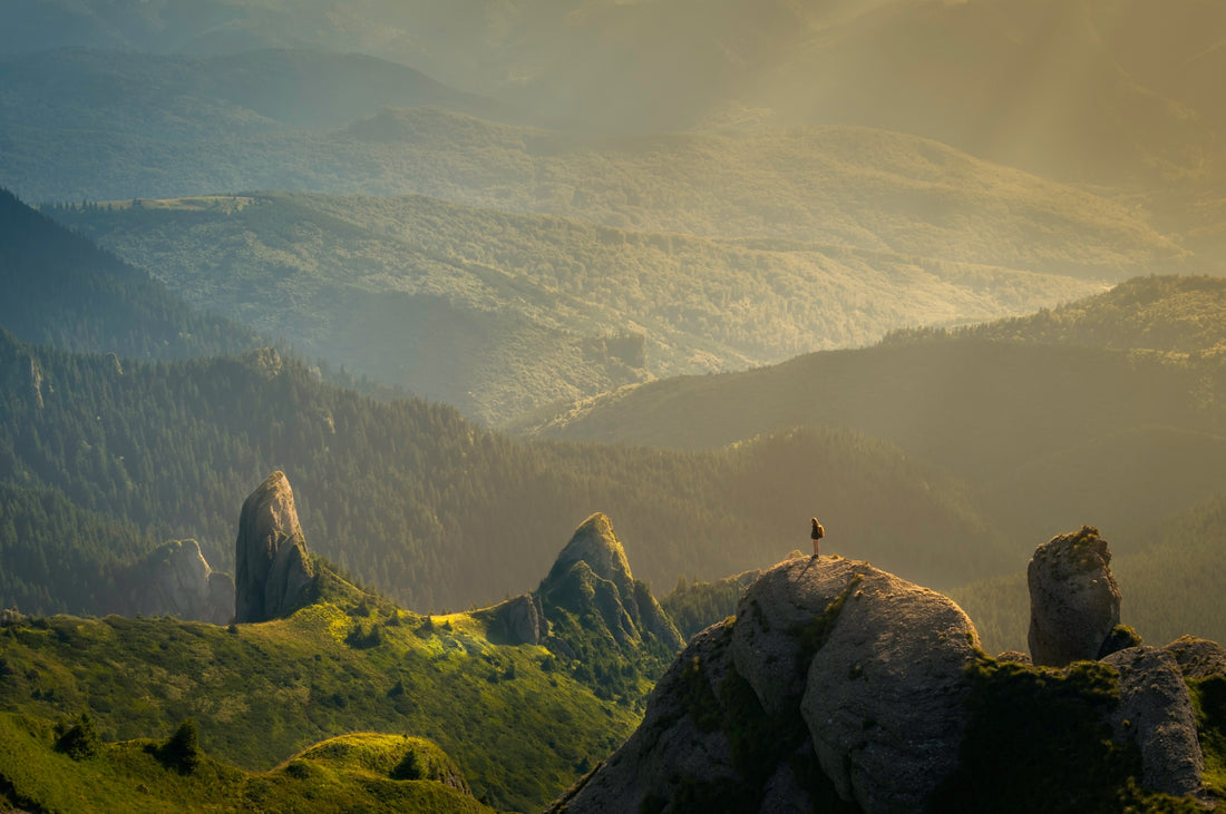 The Art of Wildlife Observation: Capturing the Majesty of Nature with Binoculars