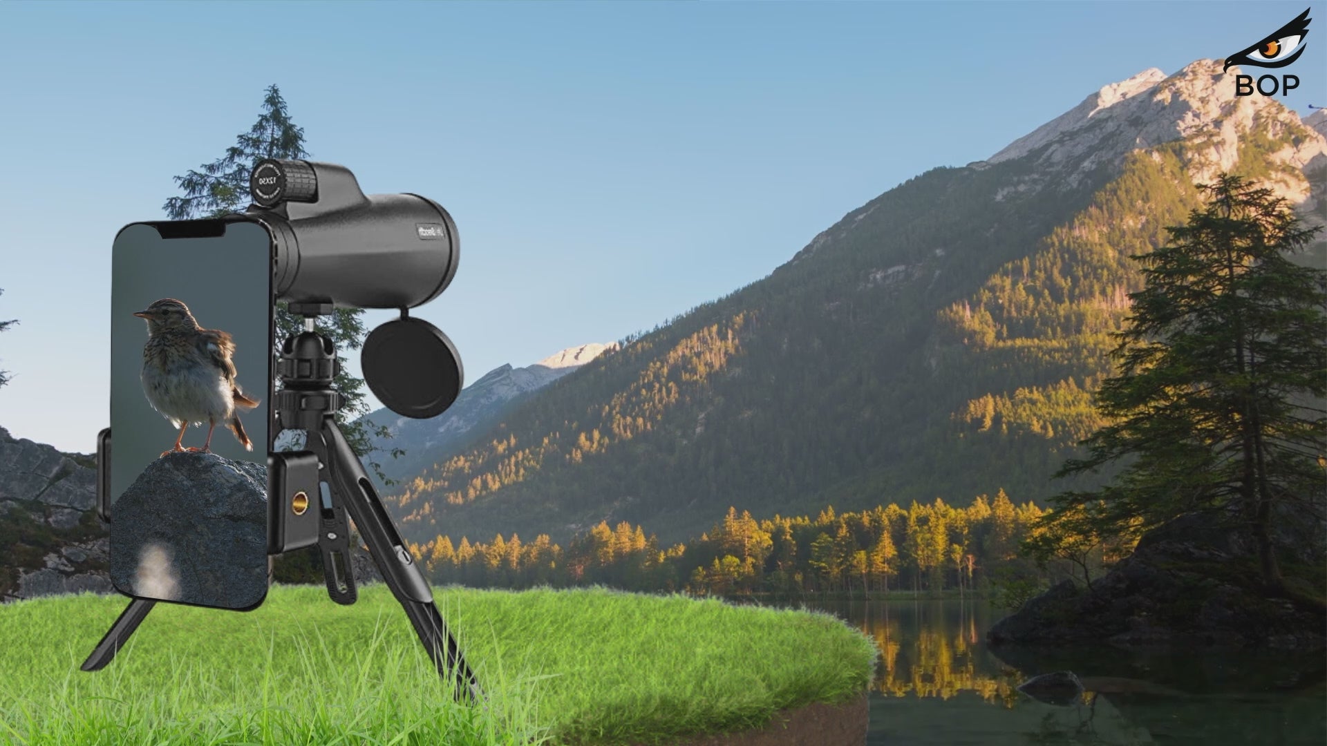  Birds Suloレモンscope Birds Suloレモンscope Amazon.com : Birds of Prey Optics