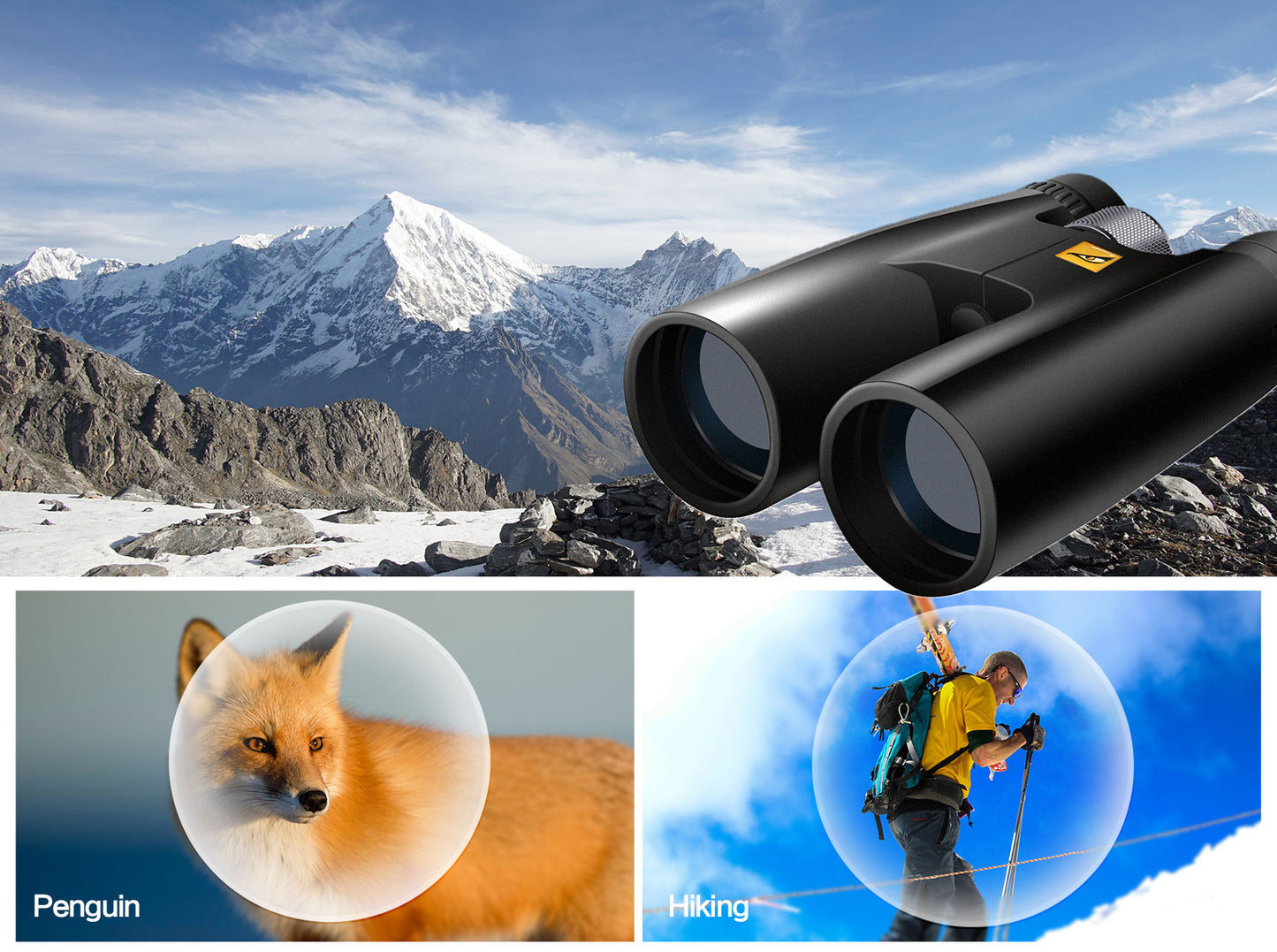 Birding Binoculars for Hunting and Professional Binoculars